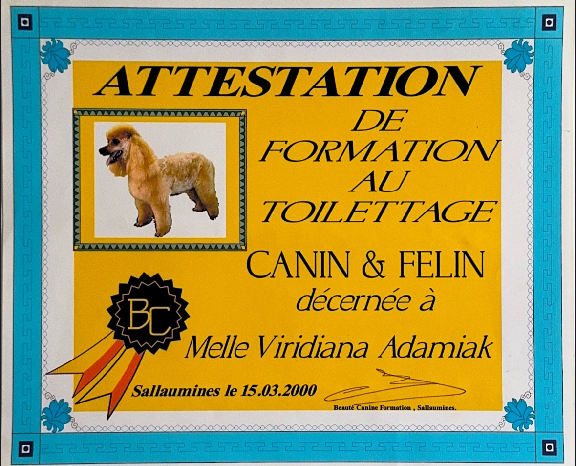 Attestation